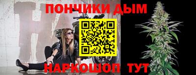 крисы Дубна