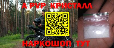 спайс Гусев