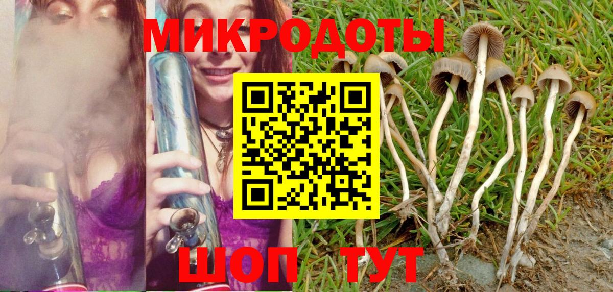 Псилоцибиновые грибы мицелий Евпатория